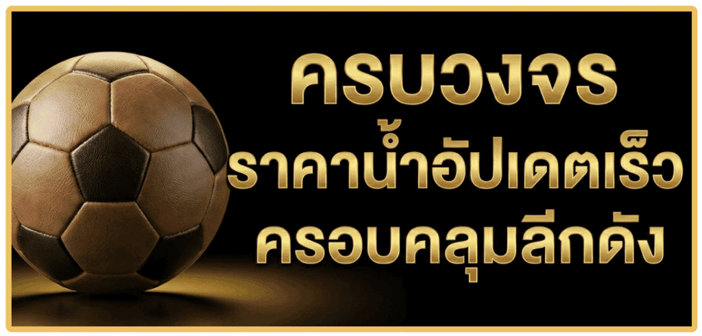 ครบวงจร ราคาน้ำอัปเดตเร็วครอบคลุมลึกดัง